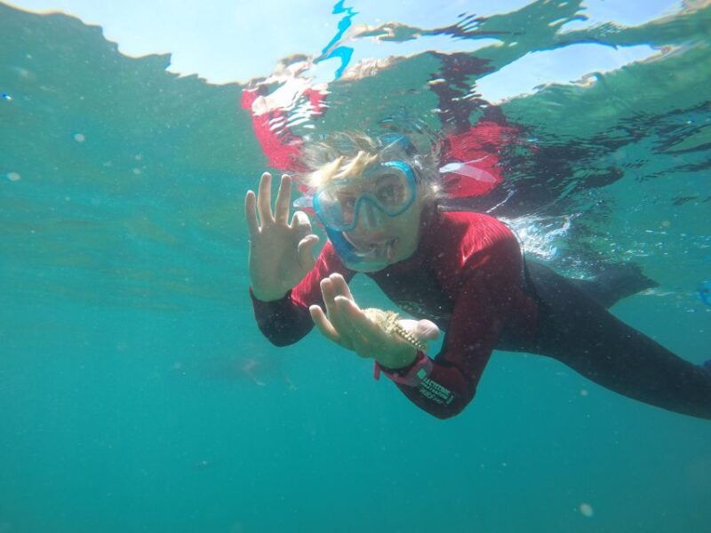 lisbon-snorkelling-in-sesimbra-arrabida-natural-park
