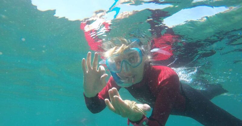 lisbon-snorkelling-in-sesimbra-arrabida-natural-park