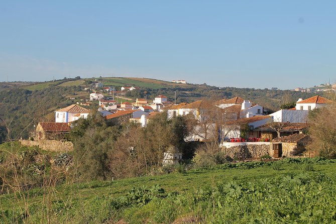 lisbon-southern-region-fernao-po-wine-tasting-private-tour