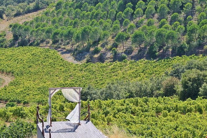 lisbon-southern-region-fernao-po-wine-tasting-private-tour