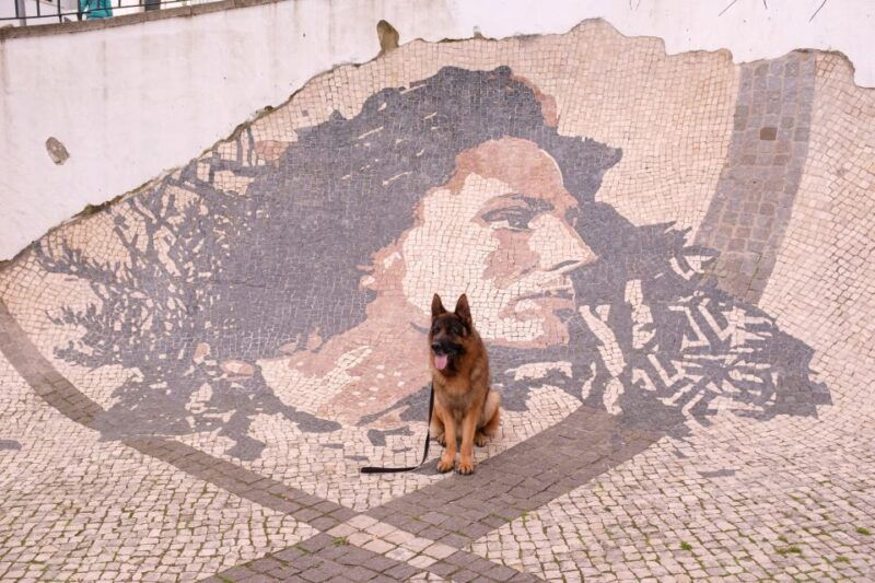 lisbon-street-art-private-guided-tour-by-tuk-tuk