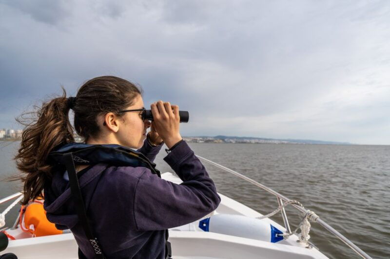 lisbon-tagus-estuary-nature-reserve-birdwatching-boat-tour
