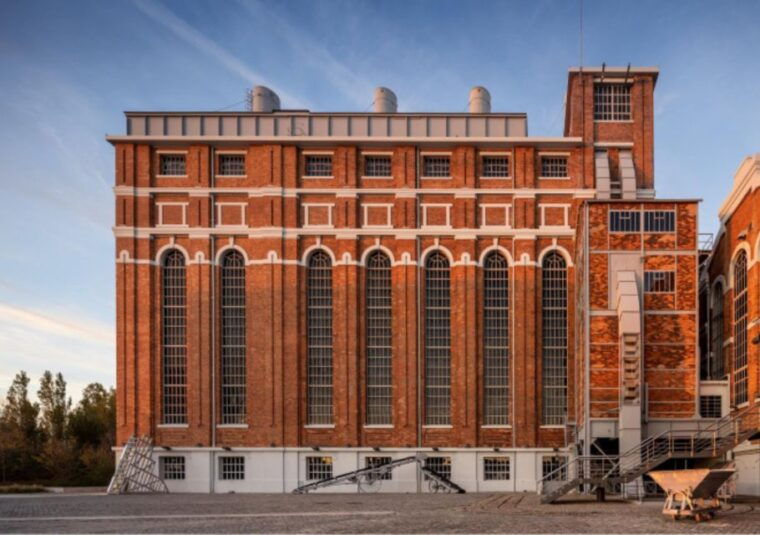 lisbon-tagus-river-cruise-to-the-ocean-dolphin-watching