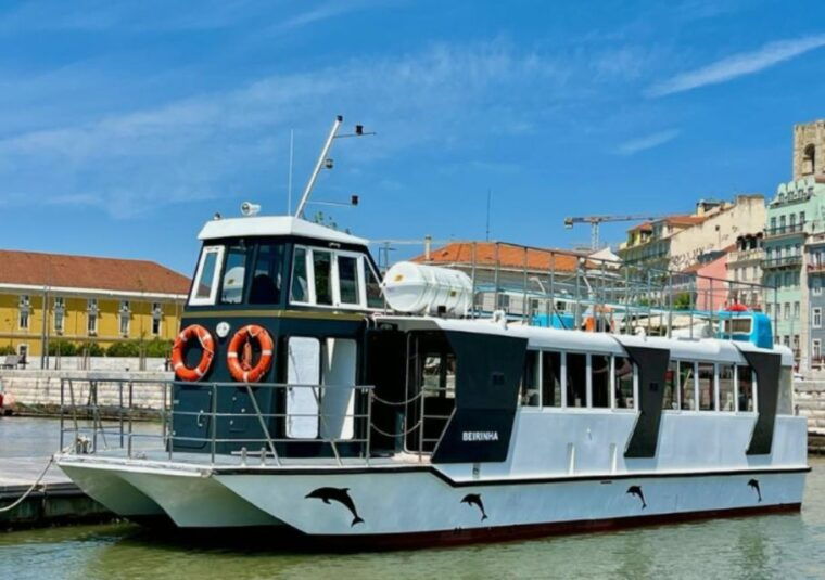 lisbon-tagus-river-cruise-to-the-ocean-dolphin-watching
