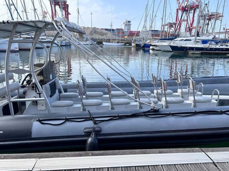 Lisbon: Tagus River Marine Wildlife Speedboating Adventure - Why This Tour is a Great Choice