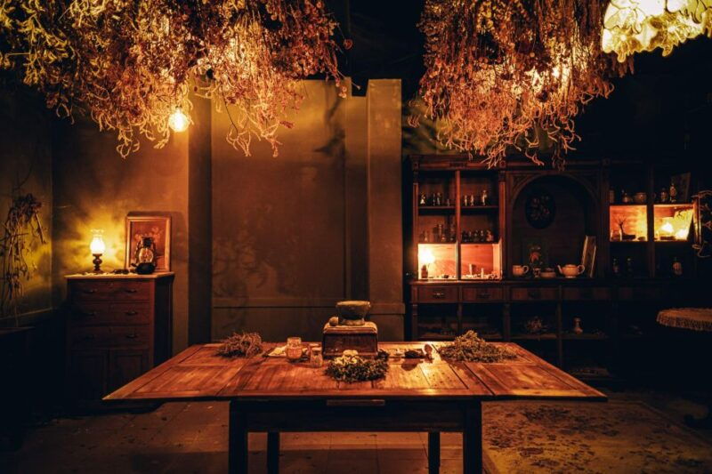 lisbon-the-death-of-the-raven-new-immersive-theatre-not-spoken