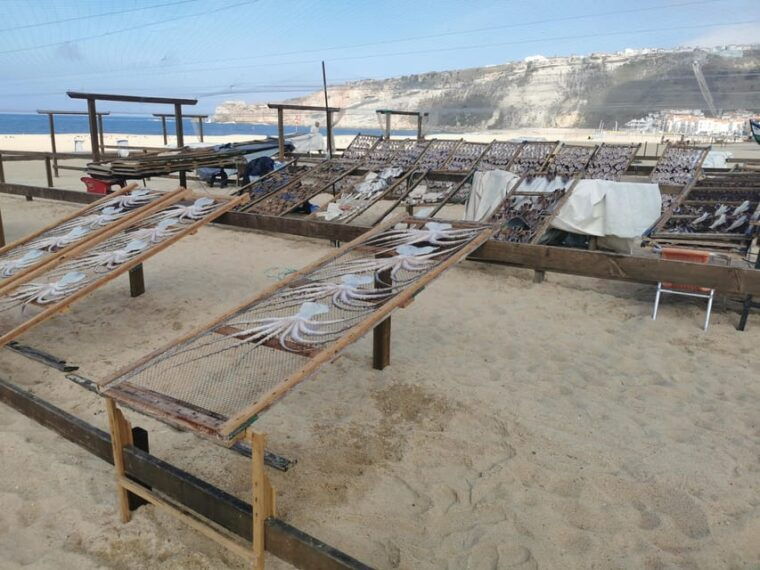 lisbon-to-fatima-nazare-and-obidos-private-full-day-tour