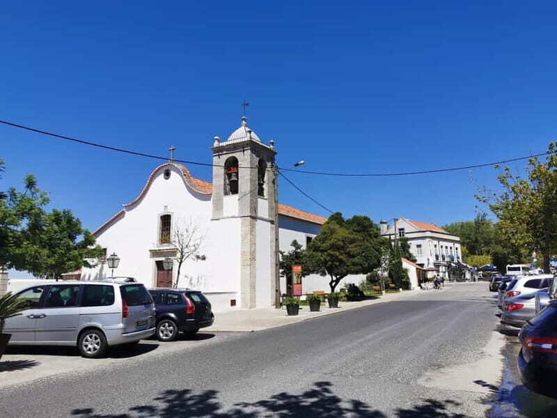 Lisbon to Wine Tasting Setubal, Two Cellars, Half Day Tour - Exploring the Itinerary: What You’ll Experience