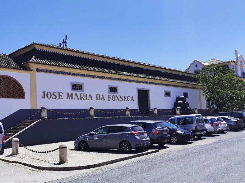 lisbon-to-wine-tasting-setubal-two-cellars-half-day-tour