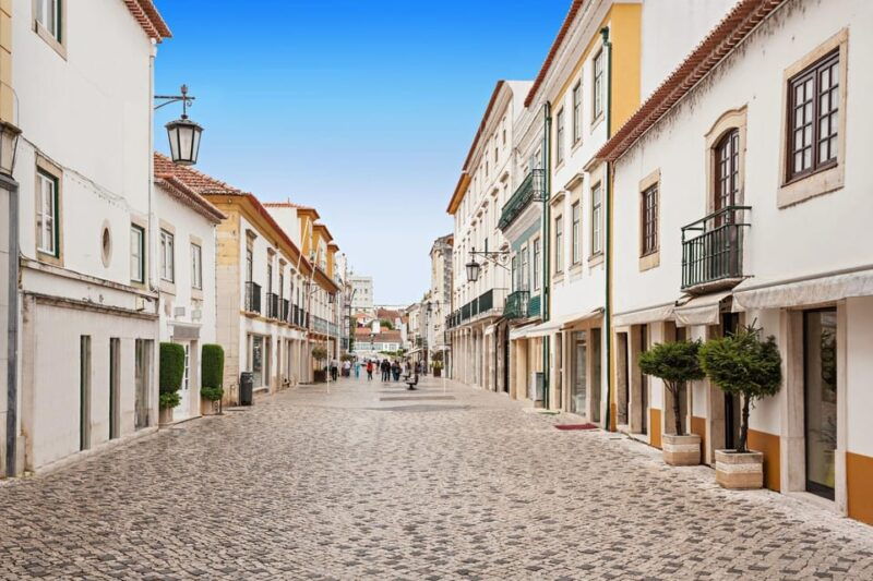 lisbon-tomar-almourol-castle-private-day-trip-with-local