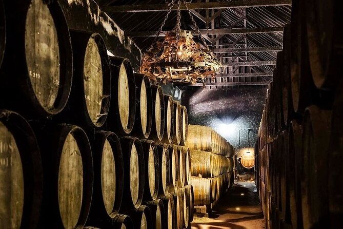 lisbon-tour-to-setubal-mountains-and-sea-with-wine-tasting-2