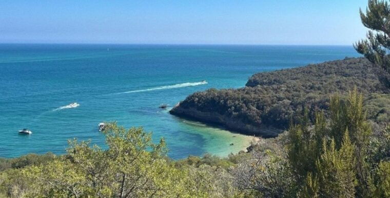 lisbon-tour-to-setubal-mountains-and-sea-with-wine-tasting-3