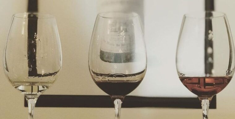 lisbon-tour-to-setubal-mountains-and-sea-with-wine-tasting-3