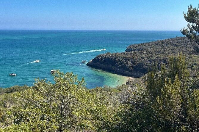 lisbon-tour-to-setubal-mountains-and-sea-with-wine-tasting