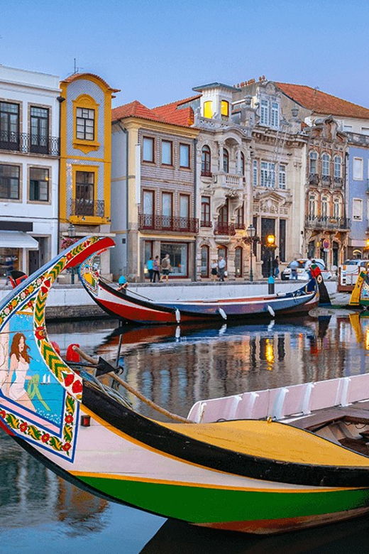 lisbon-trip-to-porto-with-stops-in-obidos-nazare-aveiro