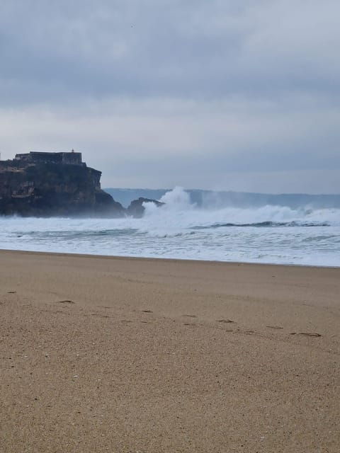 lisbon-trip-to-porto-with-stops-in-obidos-nazare-aveiro