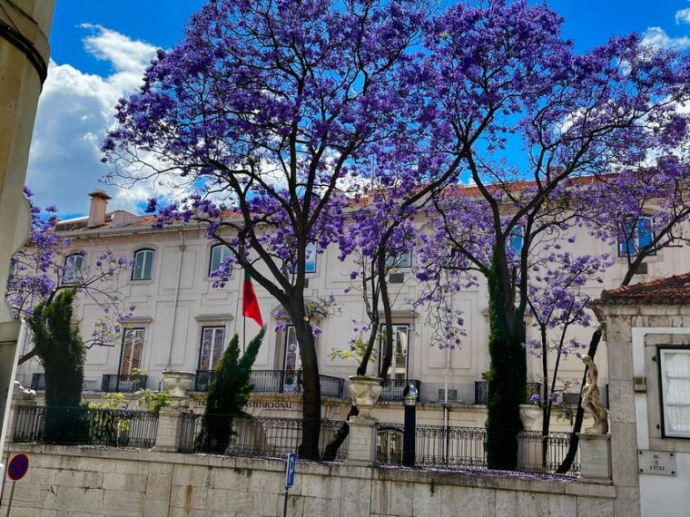 lisbon-true-and-fictional-stories-of-the-city