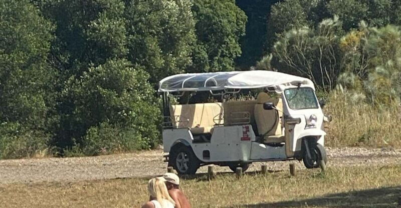 lisbon-tuk-tuk-tour-with-wine-and-tapas-tasting