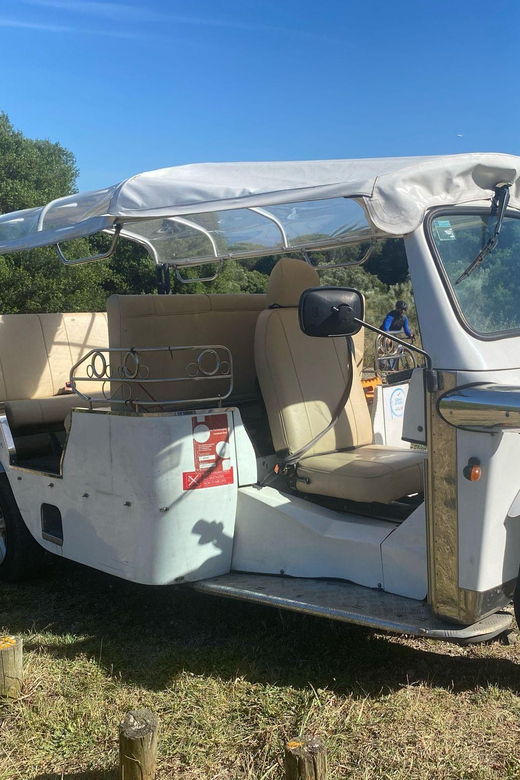 lisbon-tuk-tuk-tour-with-wine-and-tapas-tasting
