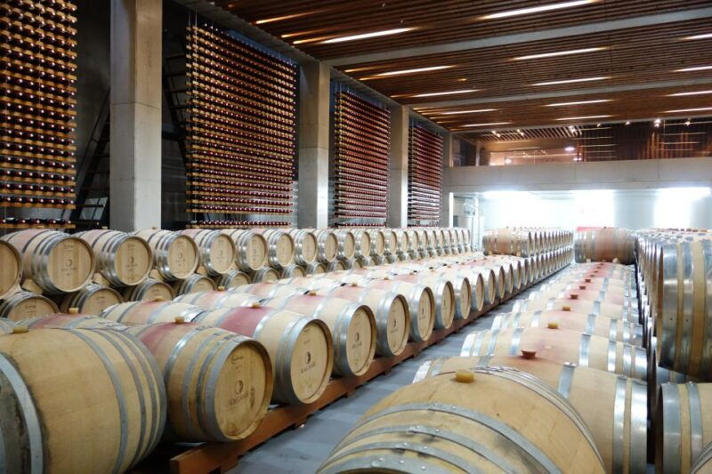 lisbon-wine-tasting-private-tour
