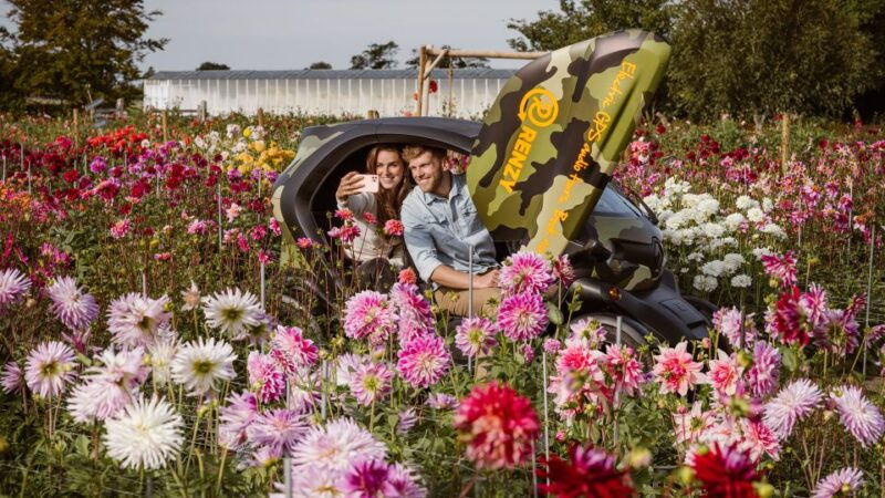 lisse-drive-it-yourself-summer-flower-gps-audio-tour