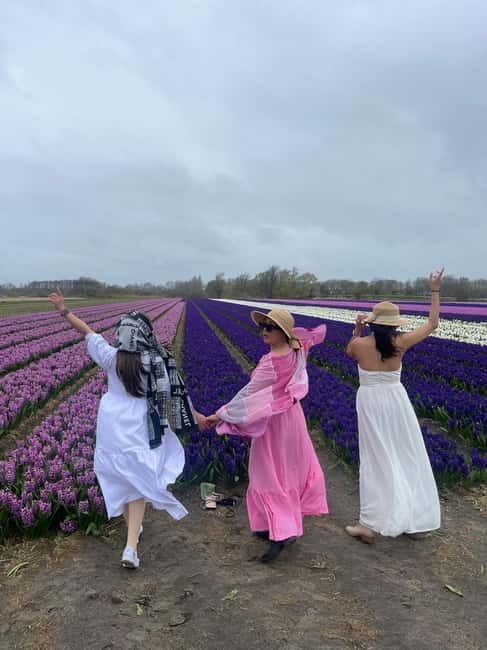 Lisse: Private Tulip Fields Tour with a Local Guide 1h Tour - The Tour Itself: What You Can Expect