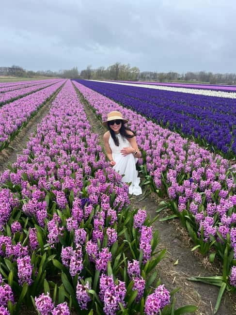 Lisse: Private Tulip Fields Tour with a Local Guide 1h Tour - The Value of This Experience