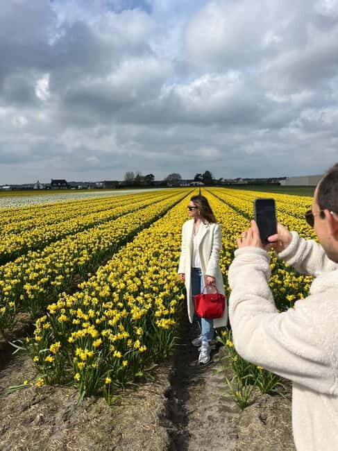 Lisse: Private Tulip Fields Tour with a Local Guide 1h Tour - The Sum Up