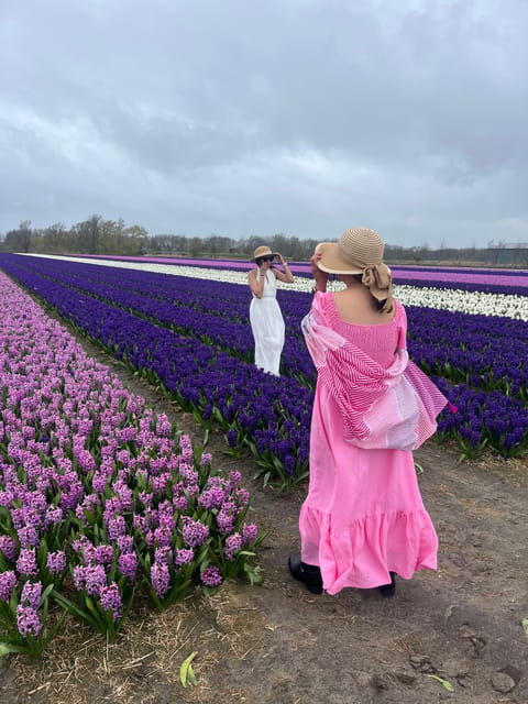 lisse-private-tulip-fields-tour-with-a-local-guide