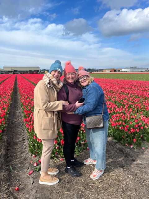 lisse-private-tulip-fields-tour-with-a-local-guide