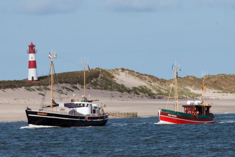 list-sylt-guided-seal-watching-cruise-on-a-rustic-boat