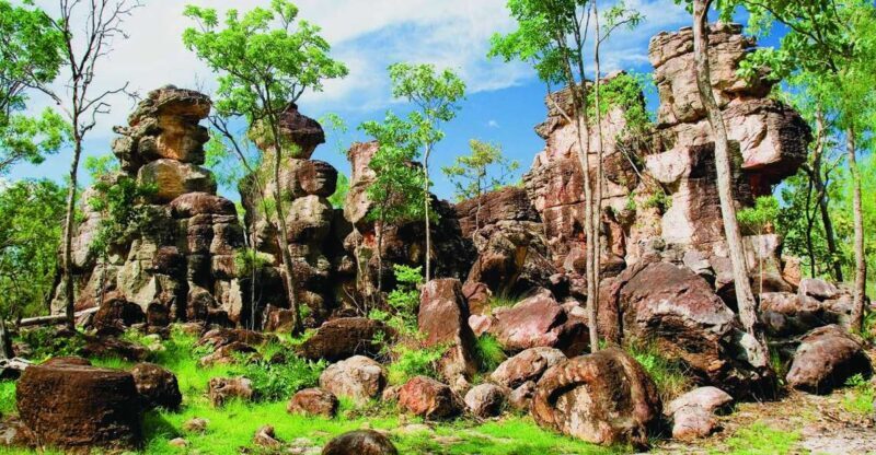 Litchfield 1 day Classic. Off road adventure. Private. VIP - Key Points