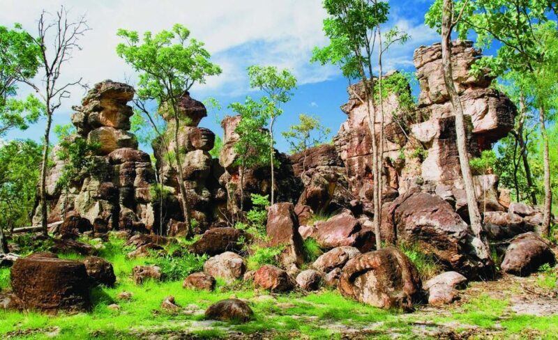 Litchfield 1 day Classic. Off road adventure. Private. VIP - FAQs