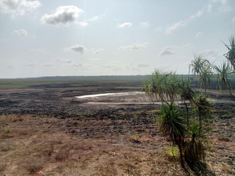 Litchfield 2 Day Tour. NT Top Adventures - Private Tour - Final Thoughts: Is This Tour Worth It?