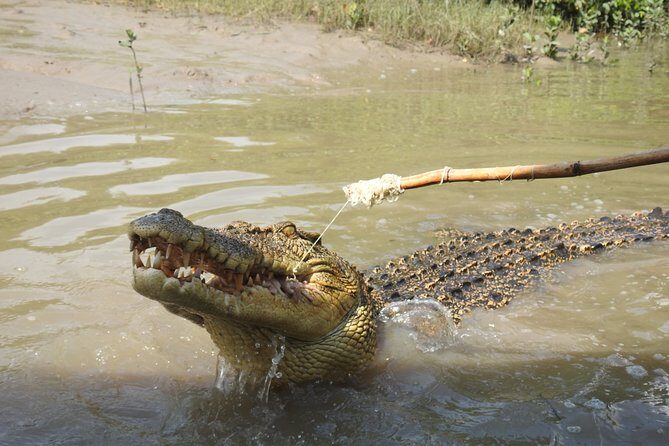 Litchfield and Jumping Crocodiles Full Day Trip from Darwin - Key Points