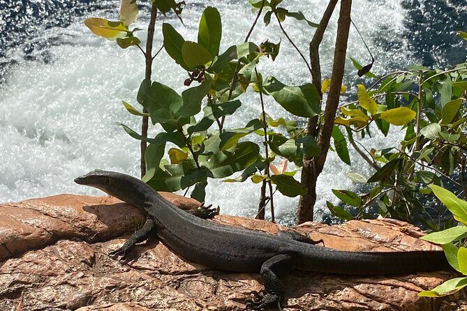 Litchfield & Berry Springs VIP Adventure Day Tours (group of 11) - Transportation and Group Dynamics