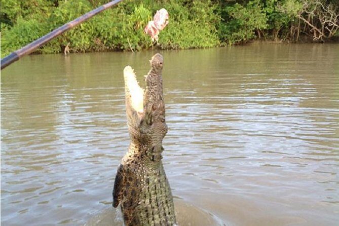 Litchfield National Park and Jumping Crocodile Cruise - FAQ