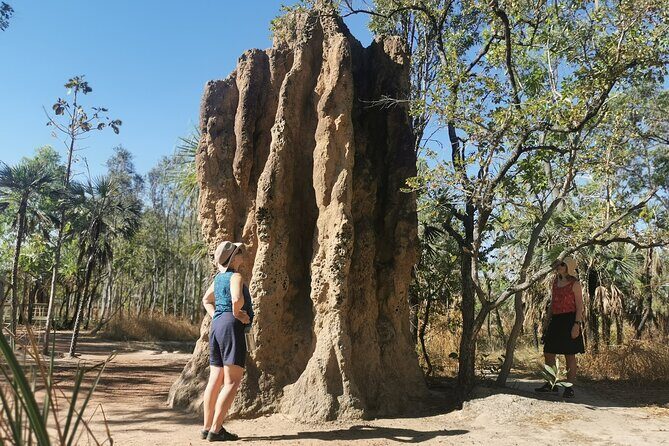 Litchfield National Park Day Tour & Berry Springs, Max 11 Guests - A Complete Breakdown of the Tour Experience
