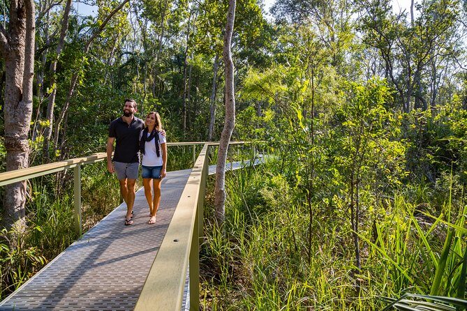 Litchfield National Park Day Tour from Darwin - A Deep Dive into the Experience