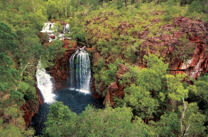 Litchfield National Park: Full-Day & Lunch from Darwin - The Sum Up
