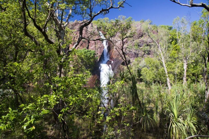 Litchfield National Park: Full-Day & Lunch from Darwin - FAQ