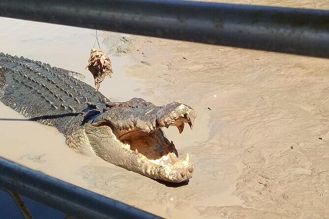 Litchfield National Park Tour with Wetlands or Crocodile Cruise - Final Thoughts: Is It Worth It?