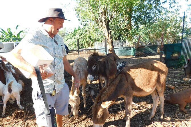 Litchfield Park & Jumping Crocodile Cruise - Who Should Consider This Tour?
