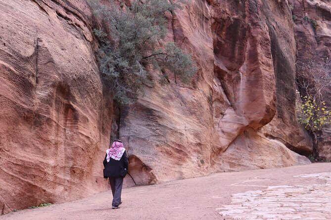 Literary tourism experience in Petra - Exploring the Itinerary: What to Expect