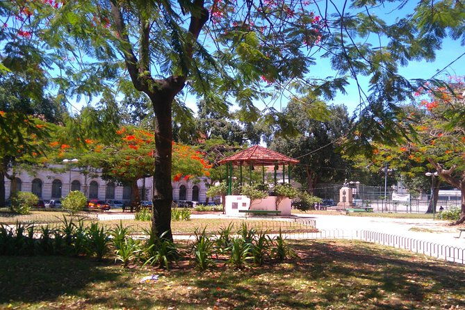 little-africa-and-the-city-of-samba-where-dreams-come-true