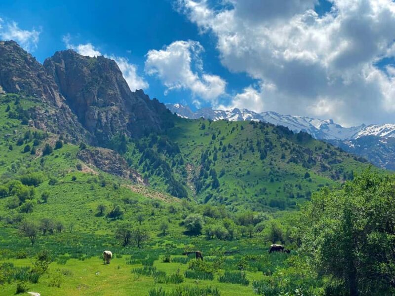 Little Chimgan Hiking Tour with Free Pro Photography - A Full Breakdown: What to Expect from This Tour