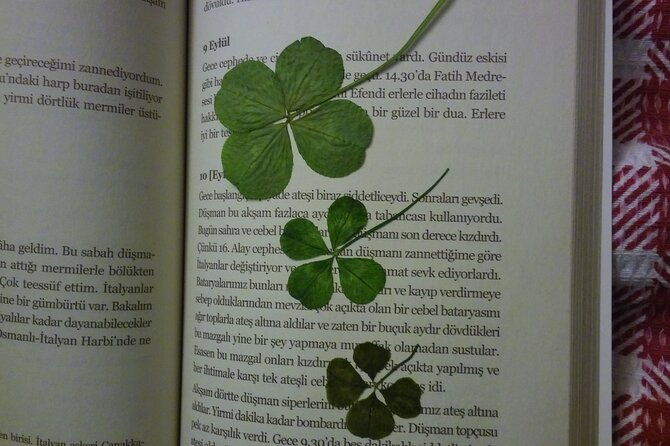 little-hagia-sophia-aromatherapy-workshop-breakfast-include