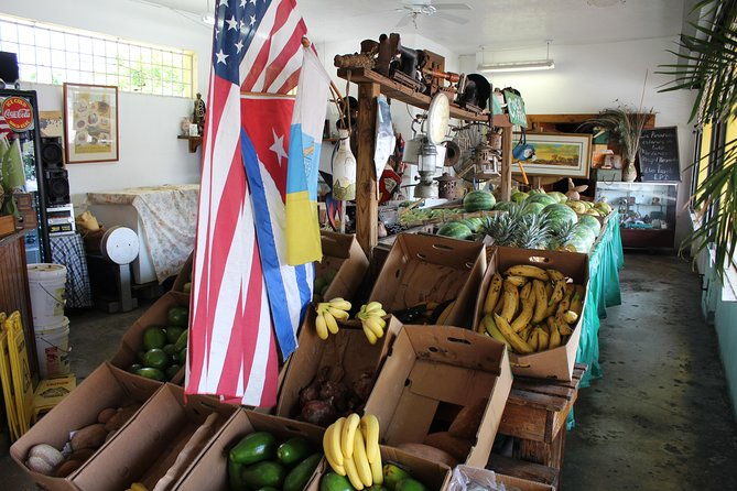 little-havana-street-food-tour-with-enthusiastic-guide