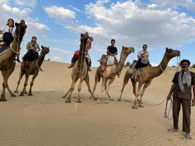 Little Prince Camel Safari with Overnight - Final Thoughts