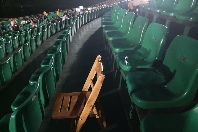 Liusanjie Light Show with English speaking private driver from GUILIN hotel - Who Will Love This Tour?